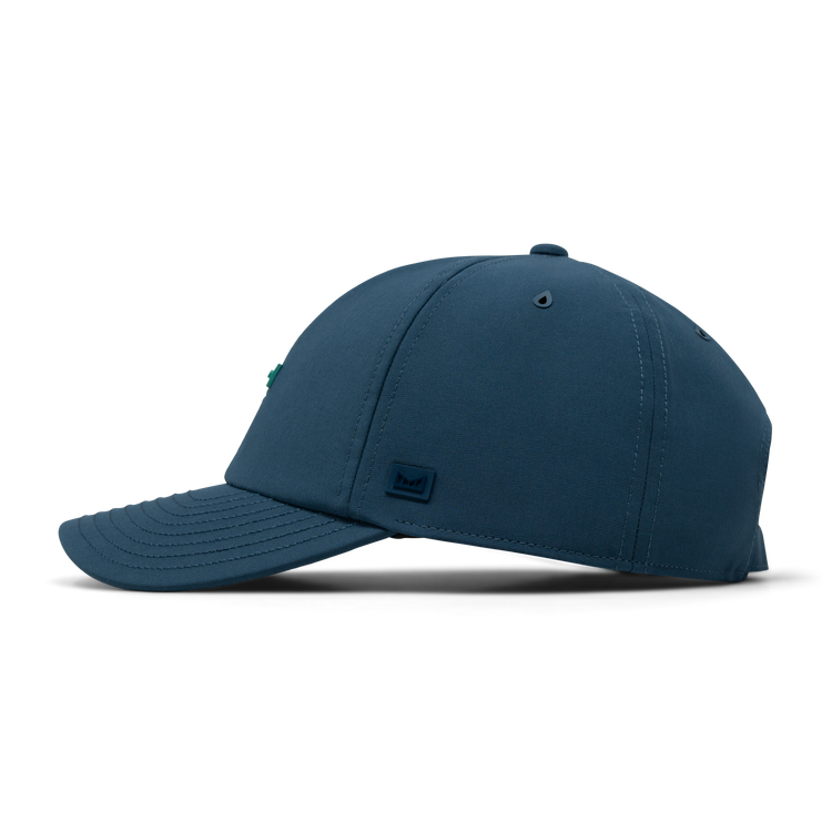 70350_DPDV_003.png