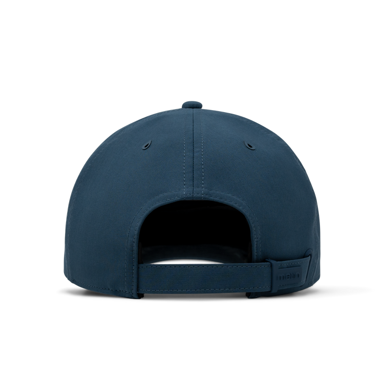 70350_DPDV_004.png