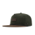 Spruce